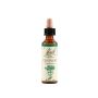 Bach Original Centaury 20ml Bottle