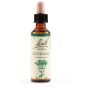 Bach Original Centaury 20ml Bottle