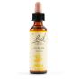 Bach Original Gorse Flower Essence, 20ml