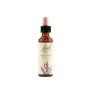 Heather Bach Original 20ml - Premium Flower Essences