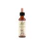 Impatiens Fiori di Bach - Essenza Naturale 20ml