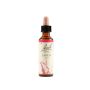 Bach Original Larch Flower Essence, 20ml
