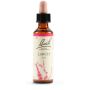 Bach Original Larch Flower Essence, 20ml