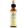 Bach Original Flower Essences Mustard, 20ml