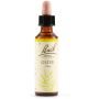Bach Original Olive Essence 20ml