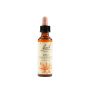Bach Original Red Chestnut Essence, 20ml