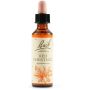 Bach Original Red Chestnut Essence, 20ml