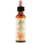 Bach Original Red Chestnut Essence, 20ml