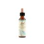 Fiori di Bach N. 27 - Acqua di Sorgente 'Rock Water' - 20ml