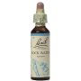 Fiori di Bach N. 27 - Acqua di Sorgente 'Rock Water' - 20ml