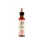 Bach Original Sweet Chestnut Flower Essences, 20ml