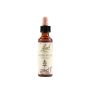 Bach Original Water Violet 20ml Essence