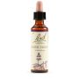 Bach Original Water Violet 20ml Essence