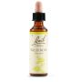 Fiori di Bach Originali - Wild Rose, 20ml