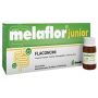 Shedir Melaflor Junior - Integratore Alimentare in 12 Flaconcini