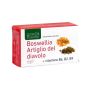 Boswellia e Artiglio del Diavolo - 60 Capsule