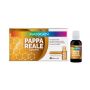 Massigen Royal Jelly Health Supplement - 10 fiale da 25ml