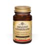 ImmunoGuardians Advanced Immunity Boost - 30 Capsules