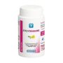 Ergyonagre 60 Capsule Supplement
