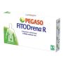 Fitodrena R - 10 Fiale da 2ml per Detox e Drenaggio Naturale