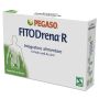 Fitodrena R - 10 Fiale da 2ml per Detox e Drenaggio Naturale