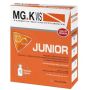 MGK Vis Junior - Tonico Ricostituente - 10 Flaconcini da 10ml