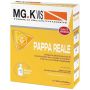MGK Vis Tonico Ricostituente con Pappa Reale, 10 Flaconcini da 10ml