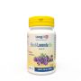 Bio Longlife Olio di Lavanda - 60 Perle di Longevit