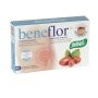 Santiveri Beneflor Digestive Support, 40 Capsule
