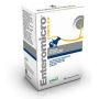 Enteromicro Complex - Integrazione Alimentare per Cani e Gatti, 32 compresse