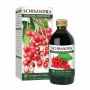 Dr. Giorgini Schisandra estratto puro Integrale - 200ml