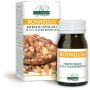 Dr Giorgini Estratto di Boswellia Titolato 60 Pastiglie
