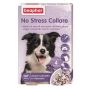 Collare Anti-Stress per Cani di 65cm