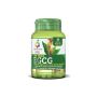 EGCG Green Tea Extract - 60 Capsule Veg-Friendly