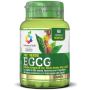 EGCG Green Tea Extract - 60 Capsule Veg-Friendly