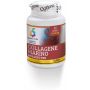 Colours Of Life - Puro Collagene Marino Idrolizzato, 60 Capsule da 75mg