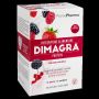Dimagra Protein - Frutti Rossi, 10 Bustine