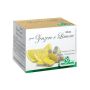 Specchiasol Infuso Zenzero e Limone - Tisana Benessere