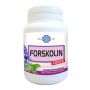 Forskolin Forte Advanced Formula - 60 Capsule Pack