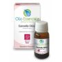 Olio Essenziale di Cannella Cinese Puro 10ml