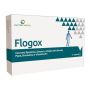 Flogox Advanced Relief 30 Capsule
