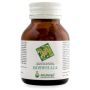 Arcangea Boswellia - Integratore Alimentare in Capsule, 60 Capsule
