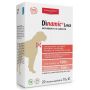 Dinamic Large: Alimento Complementare Dinamico per Cani, 20 Bustine