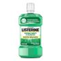 Listerine Collutorio Difesa per Denti e Gengive, Gusto Delicato, 500ml