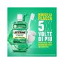 Listerine Dente e Gengiva Defense Collutorio - Gusto Delicato 2x500ml