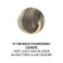 Kit di Colorazione Organica per Capelli - Tinta Biondo Chiarissimo Cenere