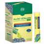 Forte Aloe Vera e Mirtillo Succo - 24 Pocket Drink