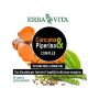 Erba Vita Complex di Curcuma e Piperina - 60 Capsule