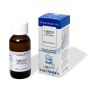 Extragem Gemme di Carpino Bianco - Concentrato Naturale