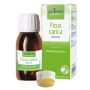 Macerato Glicerico di Ficus Carica - Flacone da 60ml